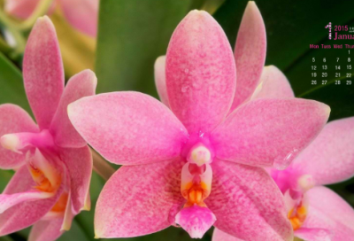 ​祝福孩子生日的经典语句 小孩过生日说什么祝福语