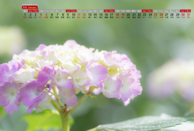 ​对闺蜜说的一段暖心话 送闺蜜的暖心祝福语