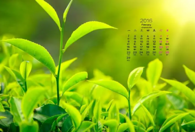 ​2024女儿生日发朋友圈说说(精选63句)