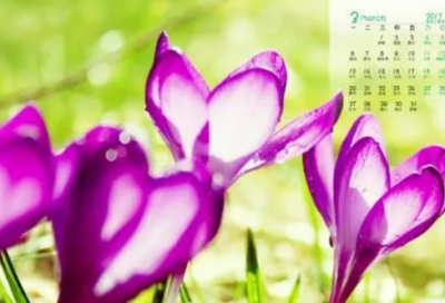 ​对老婆说早安的情话 给老婆发早安的语录(精选71句)