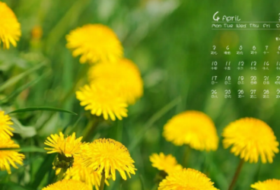 ​聚餐发朋友圈配的文字说说(精选86句)