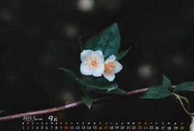 ​姐姐给老弟生日祝福语 祝弟弟生日快乐简单说说