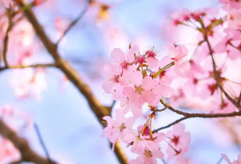 1708600208409885.png image.png