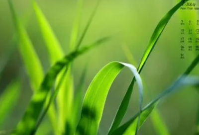 ​关于麻将的说说 关于麻将的幽默说说(精选77句)