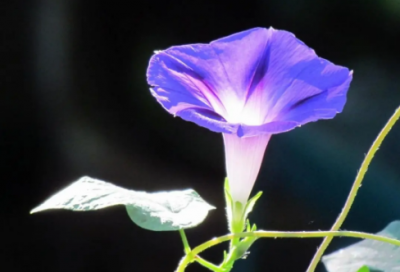 ​宝宝两岁生日朋友圈说说 宝宝两岁生日妈妈发朋友圈说说