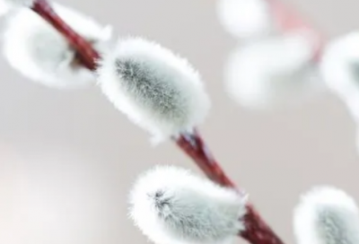 ​心情特别不好的说说 心情不好想骂人的说说