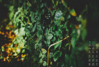 ​3月再见4月你好的励志短句 三月再见四月你好的说说