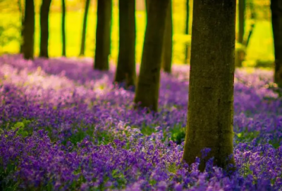 ​十八岁成人礼说说 十八岁成人礼说说文言文