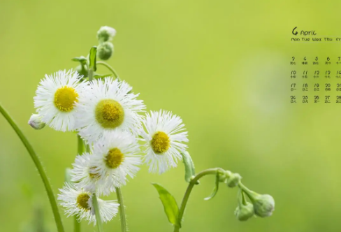 1708603708243806.png image.png