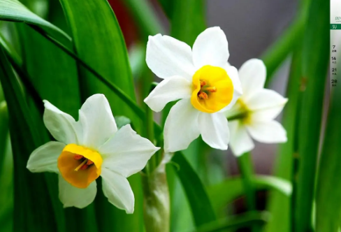 1708603875942849.png image.png