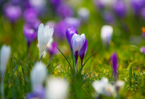 1708604208645164.png image.png