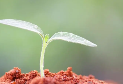 1708604541649819.png image.png