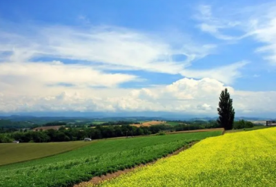 ​宝贝两岁生日朋友圈说说 2岁生日文案短句干净