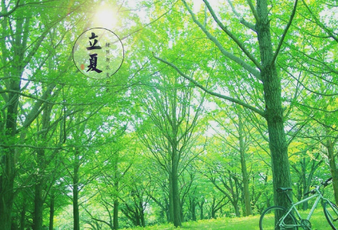 1708605041107303.png image.png