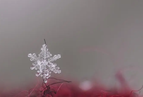 1708605208375917.png image.png