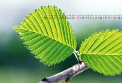 ​孤独的人生说说 非常经典的哲理说说(精选72句)