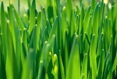 ​女儿学舞蹈说说发朋友圈 女儿第一次学舞蹈的说说