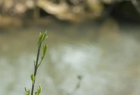 1708606541803621.png image.png