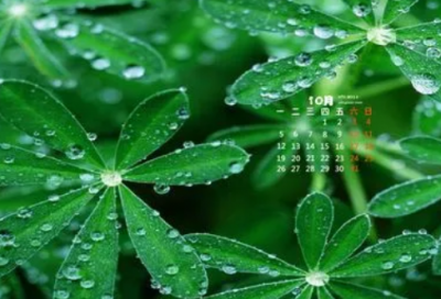 ​广西三月三文案说说(精选73句)