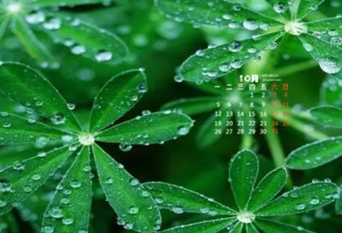 1708606708942823.png image.png