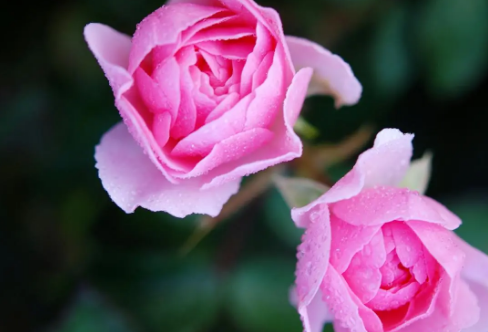 1708606874693403.png image.png