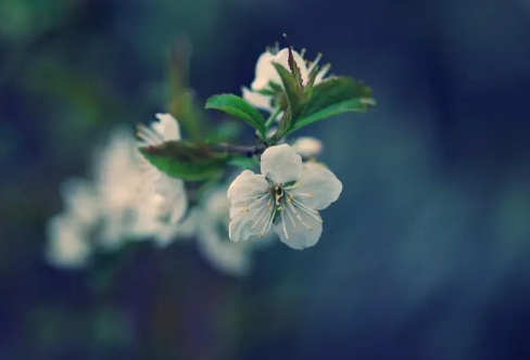 1708607041173214.png image.png