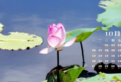 ​2024上班很累心情说说(精选70句)