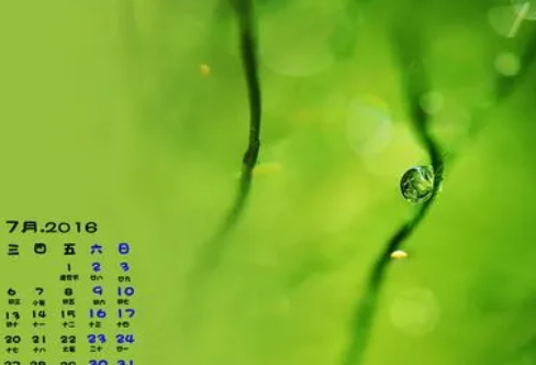 1708608207458611.png image.png