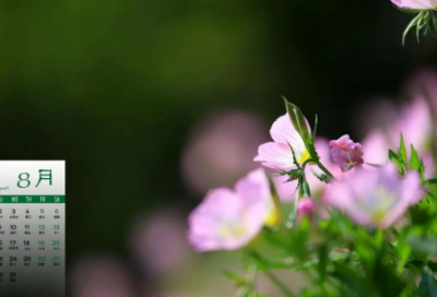 ​抖音最火的顺口溜 抖音最火的顺口溜我说我用支付宝你说我