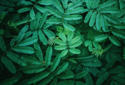 ​女儿舞蹈照片发朋友圈说说 女儿舞蹈照片发朋友圈写什么