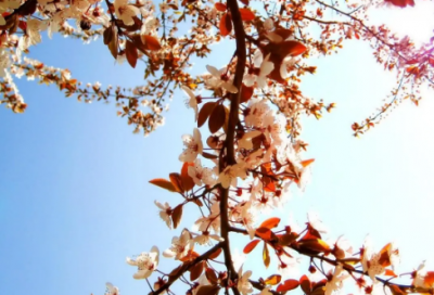 ​生活说说很现实的说说 很现实的文案(精选86句)