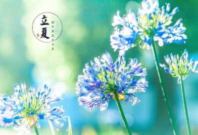 ​31岁生日说给自己的话 31岁生日说给自己的话简短的