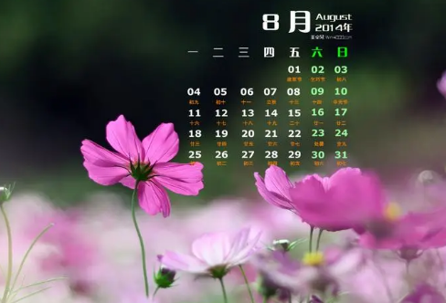 1708609207875650.png image.png