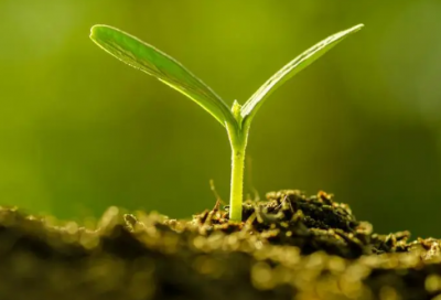 ​不眠的夜晚说说 不眠不归的伤感说说(精选78句)