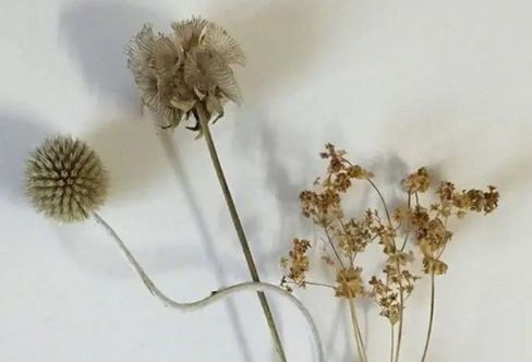 1708609540284318.png image.png