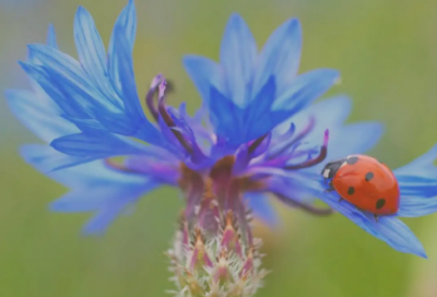 ​活着太累了想死的说说(精选83句)