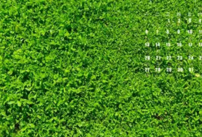 ​情人节对老公说的话 情人节对老公说的话简单