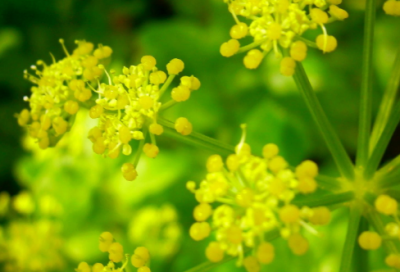 ​发朋友圈宝宝照片说说2024(精选79句)