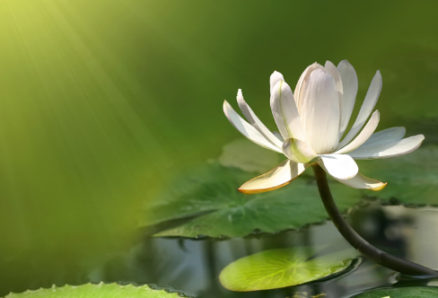 1708610873434905.png image.png