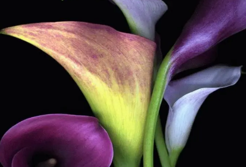 1708611039884516.png image.png