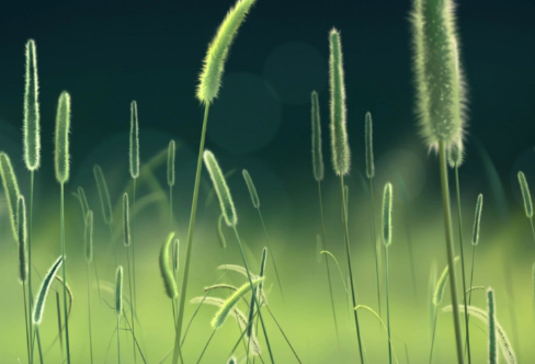 1708611206923787.png image.png