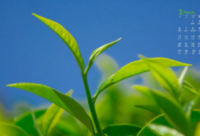 ​各自安好不再打扰的伤感说说大全(精选55句)