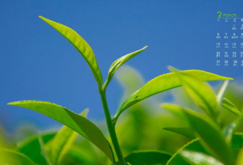 1708611706279979.png image.png