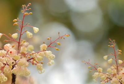 ​情人节说的最深情的话 情人节说的最深情的话500字