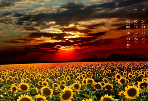 1708613205447205.png image.png