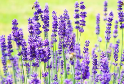 ​发个睡觉朋友圈的说说 准备睡觉发朋友圈的幽默说说