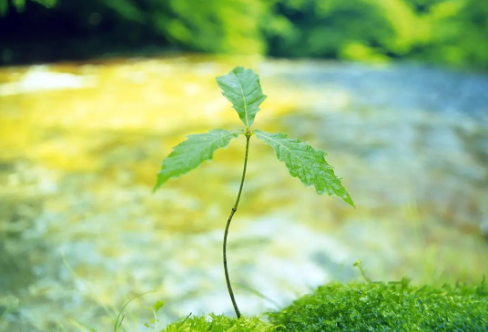 1708614038188533.png image.png