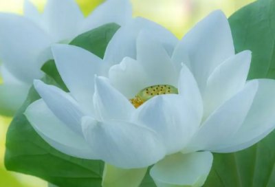 ​好烦的朋友圈说说 心情烦的朋友圈说说(精选78句)