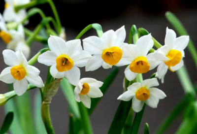 ​一年的总结感悟说说 一年的总结感悟说说2024