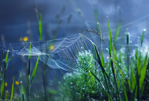 1708614538972308.png image.png